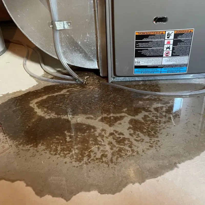 Pipe Burst and Leak Restoration in Hebron, ME