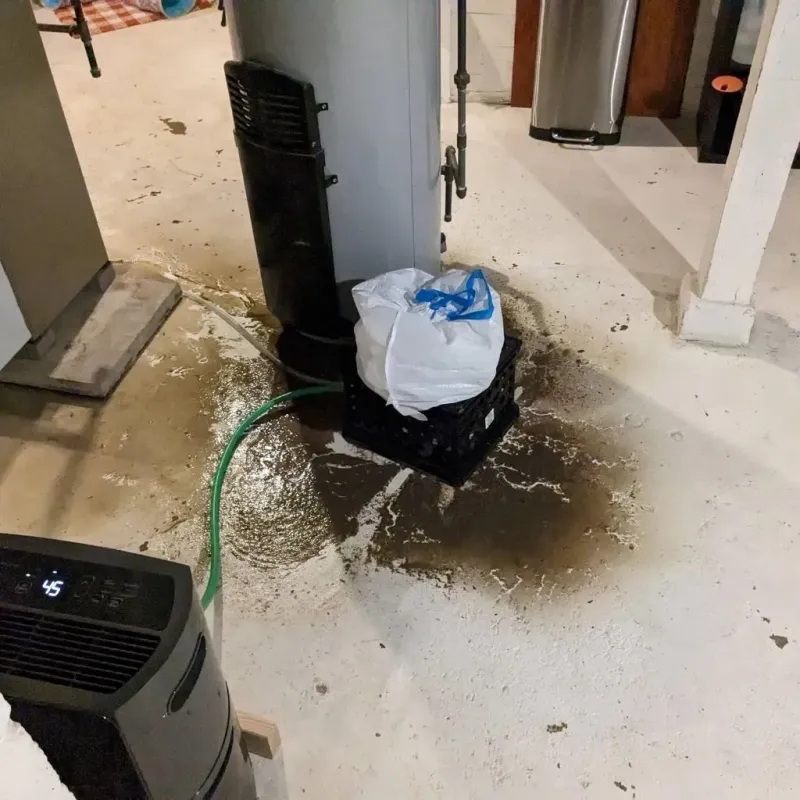Sewage Backup Cleanup Service in Hebron, ME